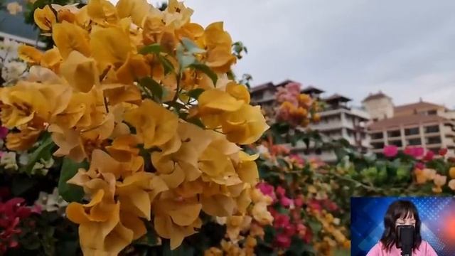 Мать-одиночка увидела, как богачка выкинула коляску на помойку. Но заглянув внутрь, Жанна оцепенела смотреть онлайн