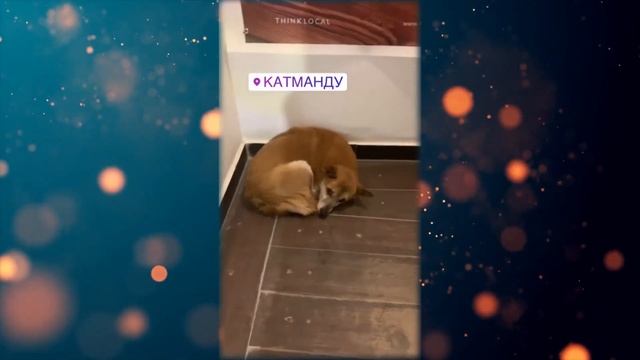 Снежана Тихонова "Тайна Катманду" (Непал)" смотреть онлайн