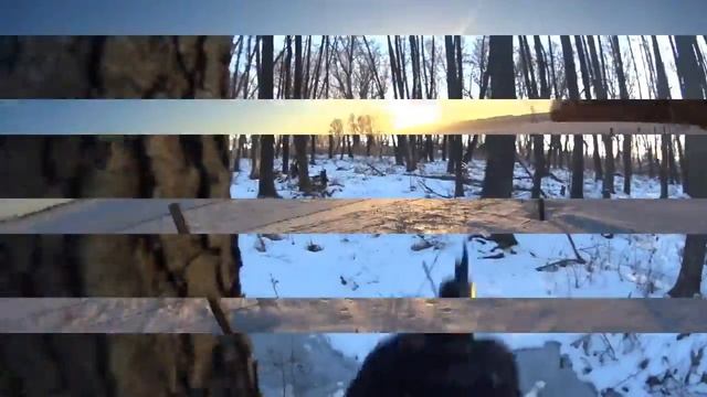 гоняю по полям на лыжах.I Ride Through The Fields For Cross-country Skiing