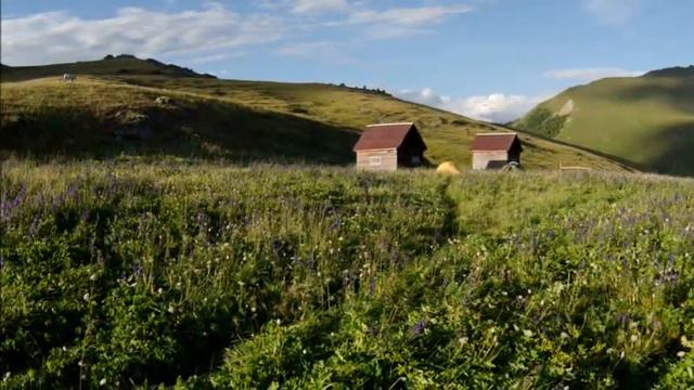 К скалистым берегам Аргута смотреть онлайн