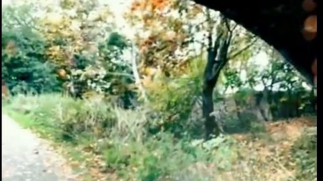 Я усталым таким ещё не был! #есенин #сергейесенин смотреть онлайн