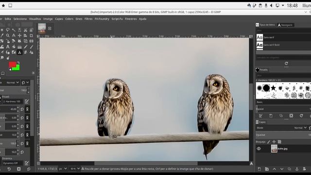 Clonar partes de una imagen con GIMP смотреть онлайн