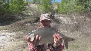 Не ЗРЯ поставил Донку в Кусты! Сезон на КОРОТКИЕ поводки ОТКРЫТ! Про ТЕЛЕСКОПЫ