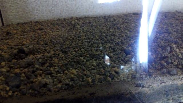 Перезапуск акваріума 200 л (4). Укладка ґрунта. смотреть онлайн