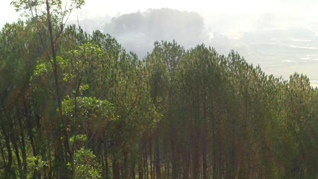 Nepal Landscape смотреть онлайн