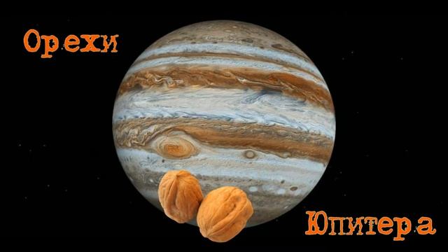 А вы знали?|Откуда у "Грецкого ореха" такое название? смотреть онлайн