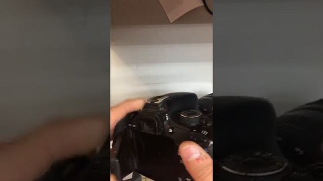 19 августа 2021 г. смотреть онлайн