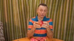 Сорт яблони Студенческое