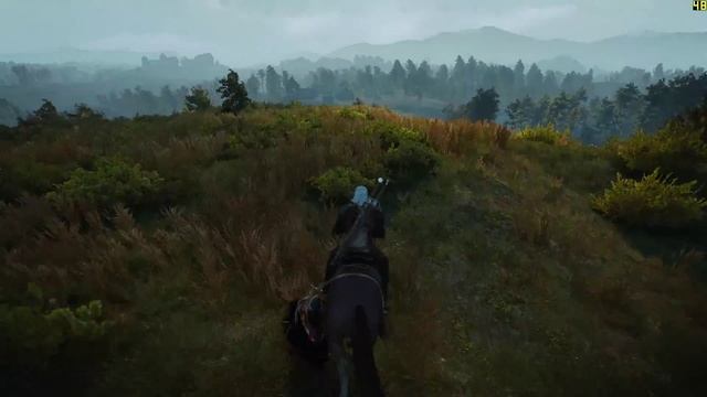The Witcher 3: Wild Hunt - 1080P Test with Hairworks on a GTX 980! смотреть онлайн