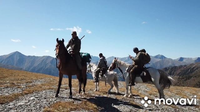 Три мушкетёра, Саяно-шушенский заповедник. смотреть онлайн