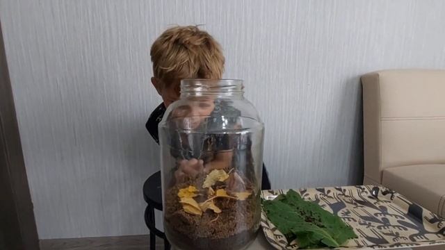 Опыт с дождевыми червями смотреть онлайн
