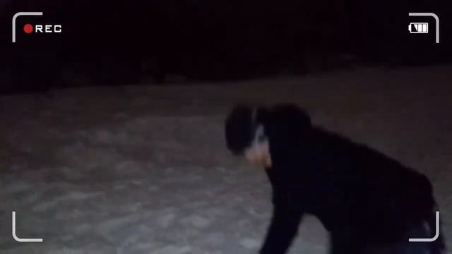 Влог|Бешеные танцы|Топовые горки|Несчастный телефон! смотреть онлайн