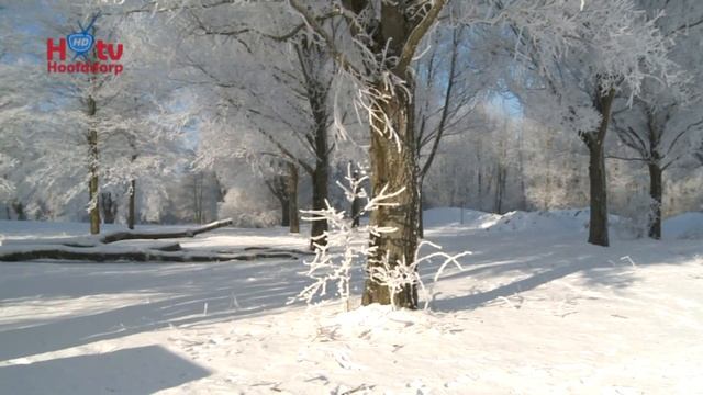 Winter 2012 Hoofddorp The Netherlands смотреть онлайн