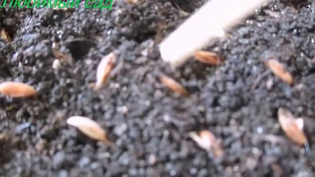 Аксессуары и Мода