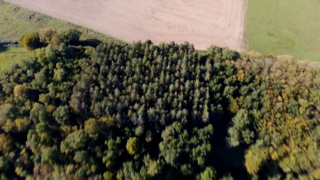 Beaumont sur Dème, Bebop, Disco, Parrot, drone, FPV смотреть онлайн