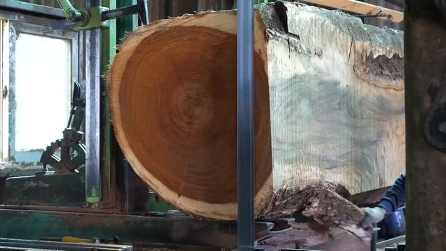 Amazing Large Sawmill Work Process. Raw Wood Processing Plant In South Korea.