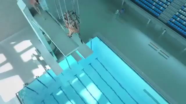 Видео про жирафов Ухохочешься!!! смотреть онлайн