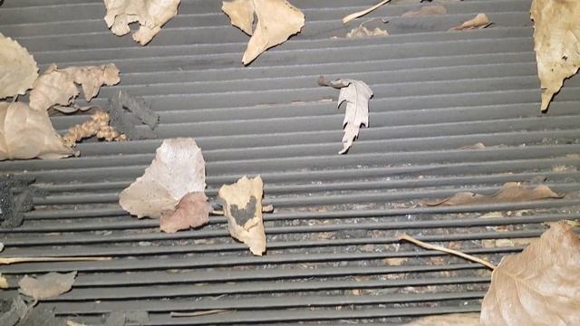 Потеют окна. Что делать?! Решено. Проверка, замена, чистка фильтра салона. KIA MAGENTIS 2.0i смотреть онлайн