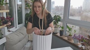 ДРАЦЕНА: ХУДАЯ И КРИВАЯ? / Ищу выход без обрезок