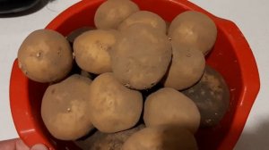 Как избавиться от колорадского жука,борьба с колорадским жуком осенью,Колорадский жук.