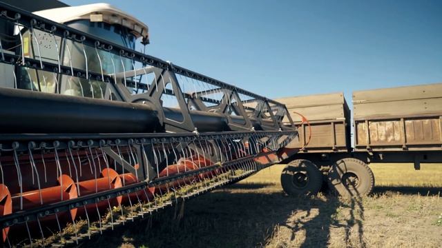 Как повысить урожайность пшеницы даже в засуху смотреть онлайн