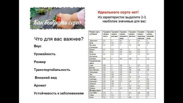 Выбор сорта клубники. Весна 2019 год. Часть 2 смотреть онлайн