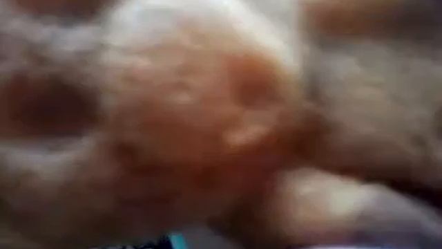 Медвежонок Барни 2 смотреть онлайн