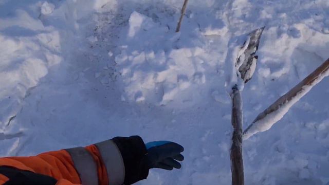 Проверка тычки на налима в феврале 2021 смотреть онлайн
