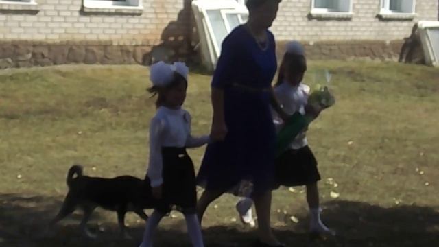 Собака хочет в первый класс смотреть онлайн
