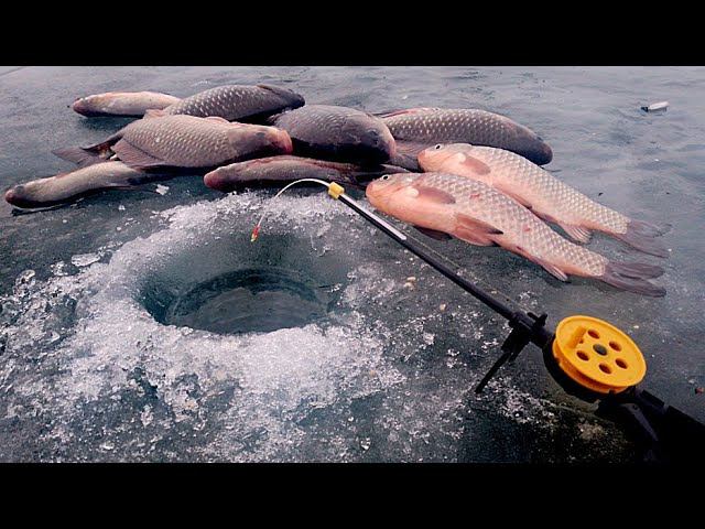 Я ДОЛГО ЖДАЛ ЭТУ РЫБАЛКУ!!! РЫБАЛКА С НОЧËВКОЙ НА КРУПНОГО КАРАСЯ!!! смотреть онлайн