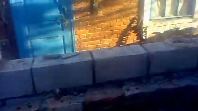 Строика в Мариуполе 23112011