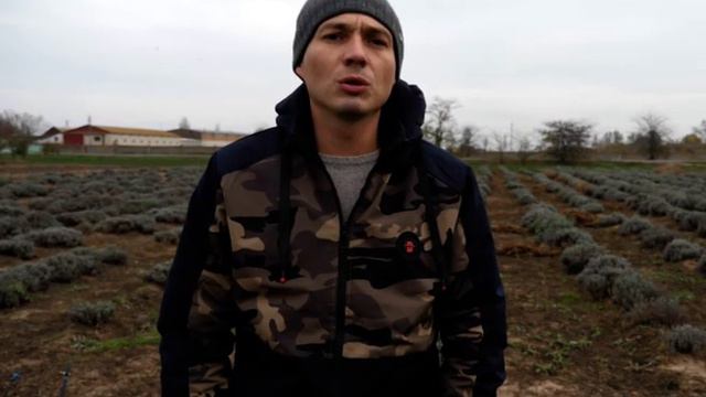 Віталій Шакало - Шафран в Любимівці