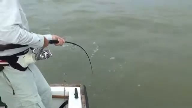 Огромный Тарпон. Морская рыбалка смотреть онлайн