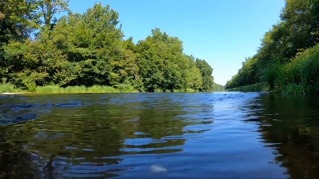 Звуки природы. Шум реки. Пение птиц. Nature sounds. Relax смотреть онлайн