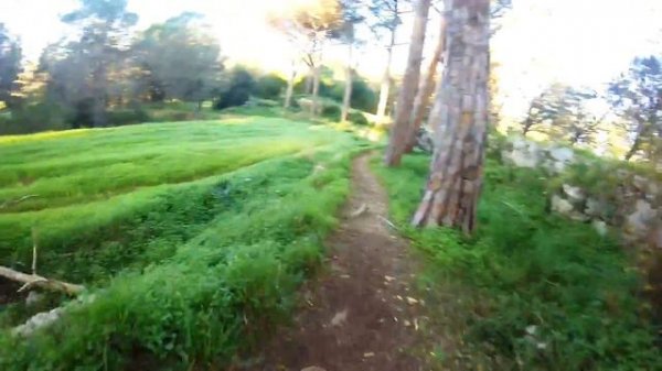 Circuito XC completo di Villa Elvira