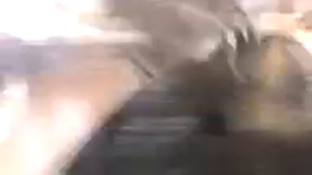 que salga mi amor la guerrilla смотреть онлайн