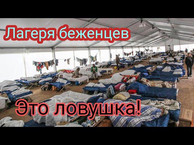 Украинцам в Европе смотреть ОБЯЗАТЕЛЬНО! Срочное предупреждение! смотреть онлайн