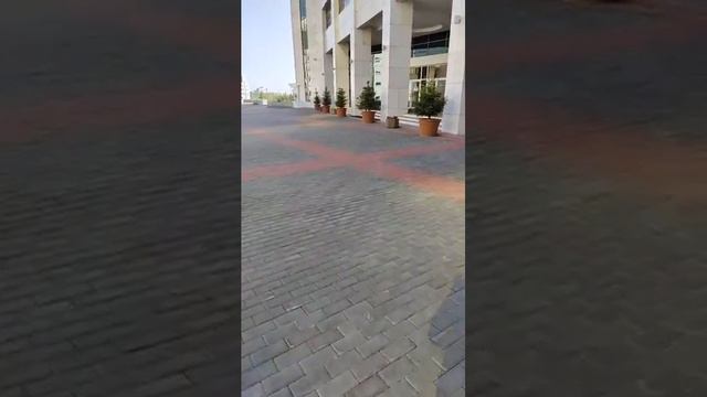 КАК ПОЛИЦЕЙСКИЕ ПЫТАЛИСЬ НЕ ПУСТИТЬ МНОГОДЕТНУЮ МАТЬ В ЗДАНИЕ ПАРЛАМЕНТА смотреть онлайн