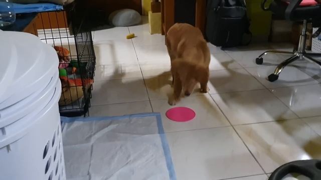 Call of Duty: World at War in a nutshell смотреть онлайн