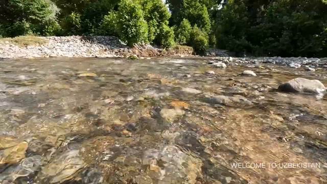 KABAB RECIPE WILDERNESS COOKING VERY TASTY | ГОТОВИМ ОБОЛДЕННЫЙ ШАШЛЫК НА ПРИРОДЕ ВОЗЛЕ У РЕКИ | смотреть онлайн