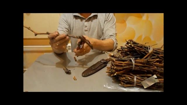 Нарезка виноградной лозы на чубуки. смотреть онлайн