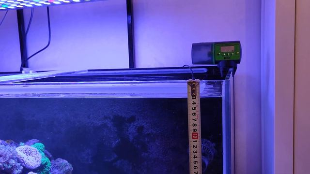 Морской аквариум 0,5 тонны - габариты смотреть онлайн