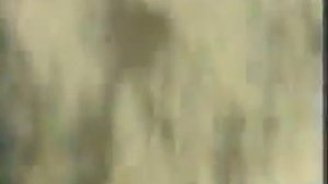 staroetv su   Реклама шампуня Organics 1998