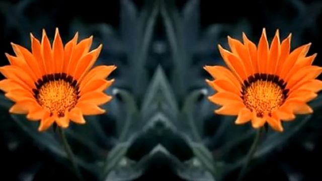 Урсиния смотреть онлайн