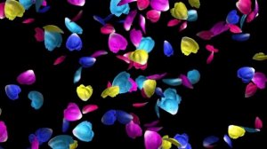 Футаж Лепестки розы разноцветные