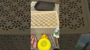 Диагностика неговорящего ребенка. Более подробная информация в описании.