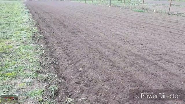 "VLOG#ДАЧНЫЕ_ДЕЛА #вспашка #мотоблок смотреть онлайн