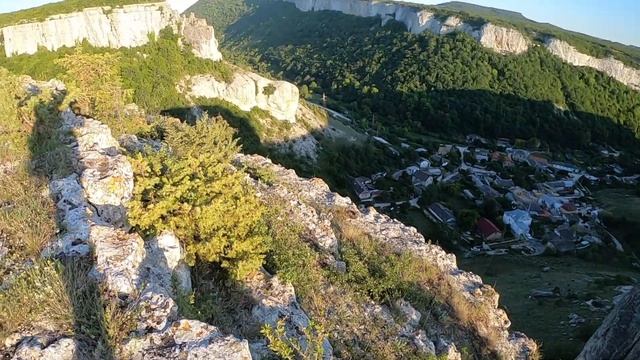 Как выглядит шалфей