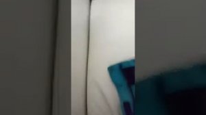 Как постирать воротник не стирая всю куртку