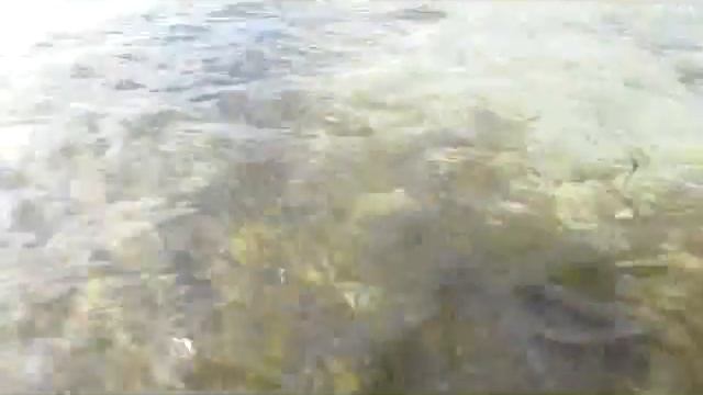 Тунис, Хаммамет, Holiday Village Manar, МОРЕ.avi смотреть онлайн